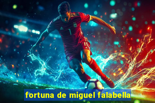 fortuna de miguel falabella